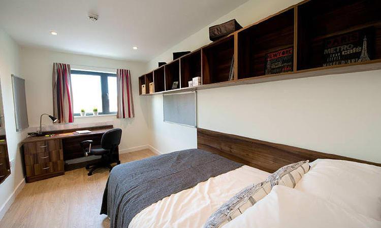Zeni 5 Bed Apartment In Central Ексетър Екстериор снимка